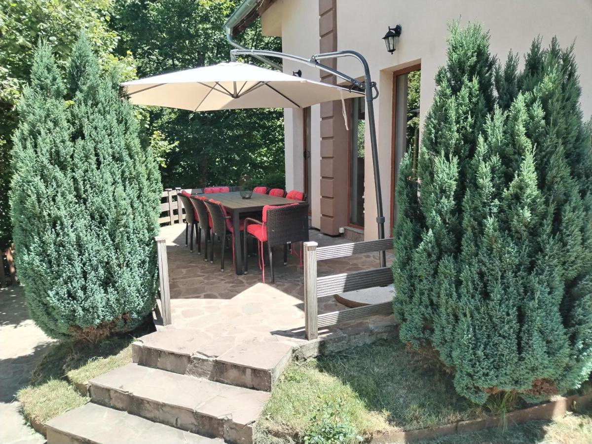 Lodge Zeleni Svet Crni Vrh Kültér fotó