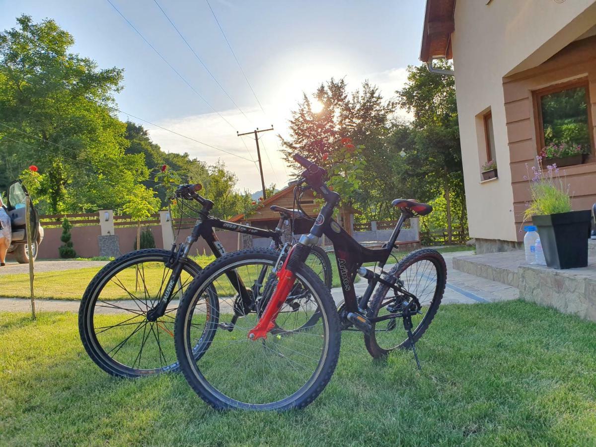 Lodge Zeleni Svet Crni Vrh Kültér fotó